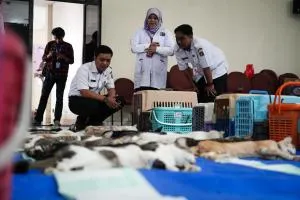 Foto Berita