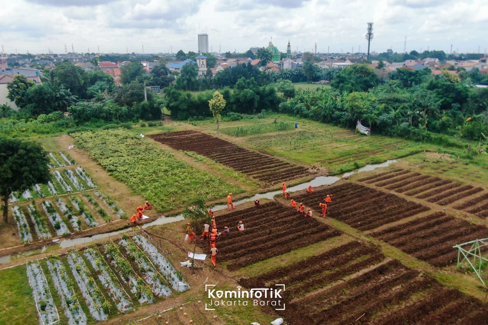 Bersama Menanam Menuju Swasembada Pangan