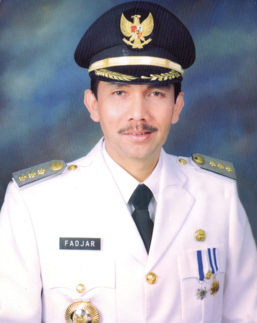 Fadjar Panjaitan